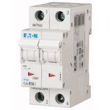 Miniature circuit breaker (MCB), 50 A, 2p, characteristic: C