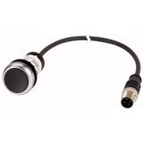 Pushbutton, Flat, momentary, 1 NC, Cable (black) with M12A plug, 4 pole, 0.2 m, black, Blank, Bezel: titanium