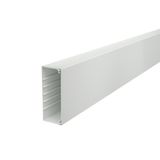 WDK60150LGR Wall trunking system with base perforation 60x150x2000