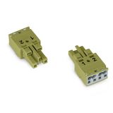 Socket 2-pole Cod. B light green