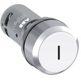 CP11-30W-10 Pushbutton