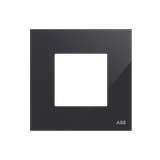 Z2271.1 CN Frame 1-gang / 2M - Black Glass