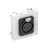 MTG-X3F S RW1 Multimedia support, XLR, 3-pin socket with screw connection 45x45mm