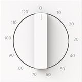 1771-44M-103 c-plate, turning handle, 120min