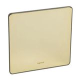 Synergy Sleek 1 gang blanking plate Glossy gold