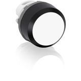 MP1-10W Pushbutton