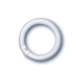 Fluorescent lamp Spectralux®Plus Ring , NL-T9 40W/840C/G10Q