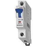 Miniature Circuit Breaker (MCB) D, 50A, 1-pole, 10kA