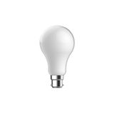 B22 B22 Light Bulb White