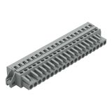 1-conductor female connector CAGE CLAMP® 2.5 mm² gray