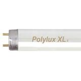 T8 36W/860 26X1214 Polylux XLr