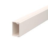 WDK20035CW Wall trunking system with base perforation 20x35x2000