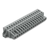 1-conductor female connector CAGE CLAMP® 2.5 mm² gray