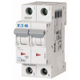 Miniature circuit breaker (MCB), 16 A, 2p, characteristic: B