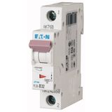 Miniature circuit breaker (MCB), 32 A, 1p, characteristic: C