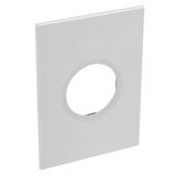 American and South African standard plate Arteor round version 2 modules for 2'' x 4'' box - soft alu