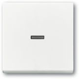1789 N-84 CoverPlates (partly incl. Insert) future®, Busch-axcent®, solo®; carat® Studio white