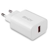 18W USB Type A Charger Fast charging via a USB Type A cable