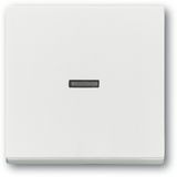 1789 N-884 CoverPlates (partly incl. Insert) future®, Busch-axcent®, carat® studio white matt