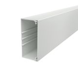WDK60130LGR Wall trunking system with base perforation 60x130x2000