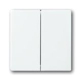 1785-84-500 CoverPlates (partly incl. Insert) future®, Busch-axcent®, solo®; carat® Studio white