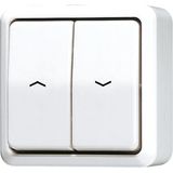 2-gang blind switch/push-button 10 AX 609VAWW