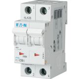 Miniature circuit breaker (MCB), 50 A, 2p, characteristic: C