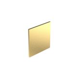 Art d'Arnould - 1 gang blanking plates Epure - Brushed Gold