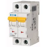 Miniature circuit breaker (MCB), 25 A, 2p, characteristic: B