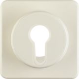 Centre plate f. key switch/key push-b., splash-prot. flush-mtd IP44, w
