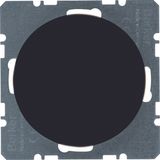 Blind plug centre plate, R.1/R.3, black glossy