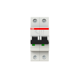 S202-D4 Miniature Circuit Breaker - 2P - D - 4 A