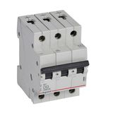 MCB RX³ 6000 - 3P - 400V~ - 63 A - C curve - prong/fork type supply busbars