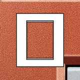 LL - cover plate 3+3P brick