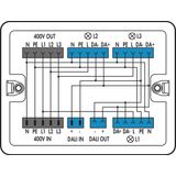 Distribution box 400 V + DALI 2 inputs white