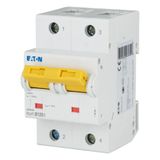 Miniature circuit breaker (MCB), 125A, 2p, B-Char, AC