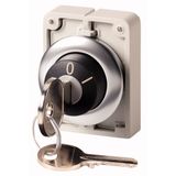 Key-operated actuator, Flat Front, maintained, 2 positions, Ronis 455, Key withdrawable: 0, Bezel: stainless steel