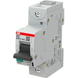 Circuit breaker 50kA, 100A, D char, 1 pole