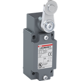 LS45M42D11 Limit Switch