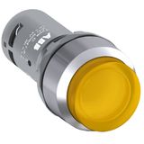 PUSHBUTTON CP3-31Y-10 24V AC/DC