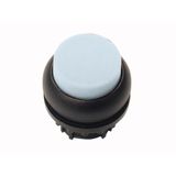 Illuminated pushbutton actuator, RMQ-Titan, Extended, momentary, White, Blank, Bezel: black