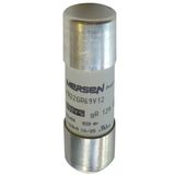 High-Speed Cylindrical Fuse 22x58 gR 690VAC 12A