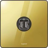 Synergy™ Sleek - Double USB charger type A Glossy gold