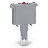 Fuse plug with soldered miniature fuse with indicator lamp gray