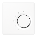 room thermostat (2-way contact) 24 V