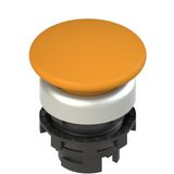 Bright orange mushroom button E2 1PL2F8490