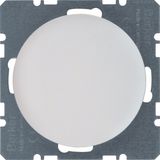 Blind plug centre plate, R.1/R.3, p. white glossy