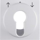 Centre plate for blind switch and key switch polar white glossy