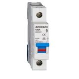 Main Load-Break Switch (Isolator) 100A, 1-pole