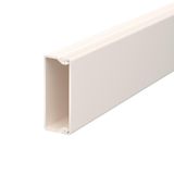 WDK20050RW Wall trunking system with base perforation 20x50x2000